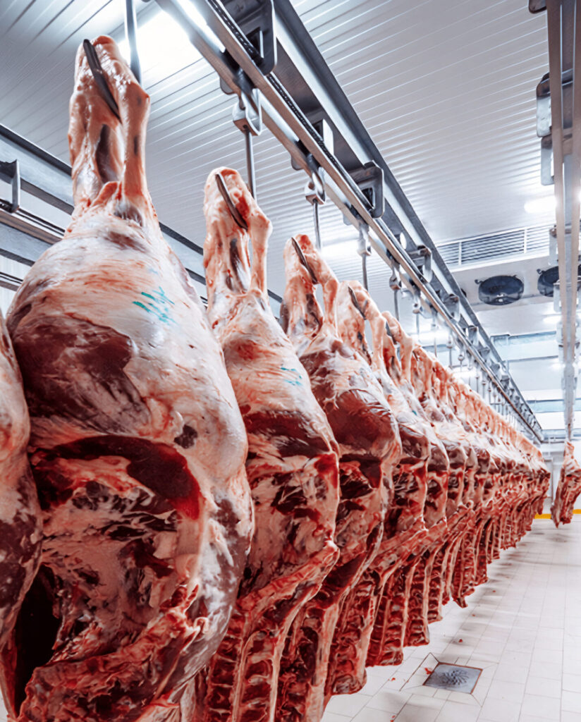 83b43c2ae7c0ac29c80163554afed3aa (3)